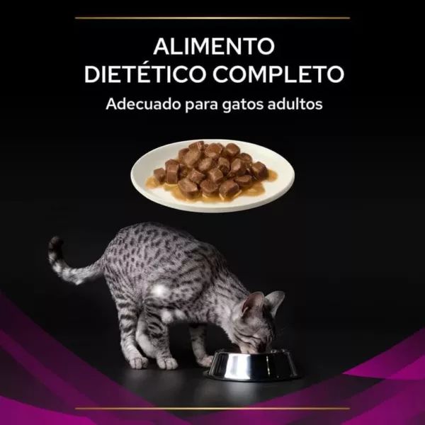Pro Plan Veterinary Diets Gato Urinary UR Saquetas 10x85g