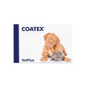 Coatex Cápsulas (60 unidades)